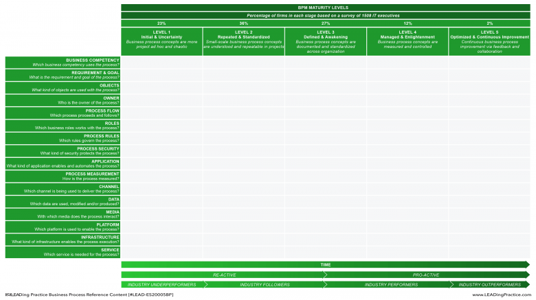 An example of context for a BPM maturity assessment.